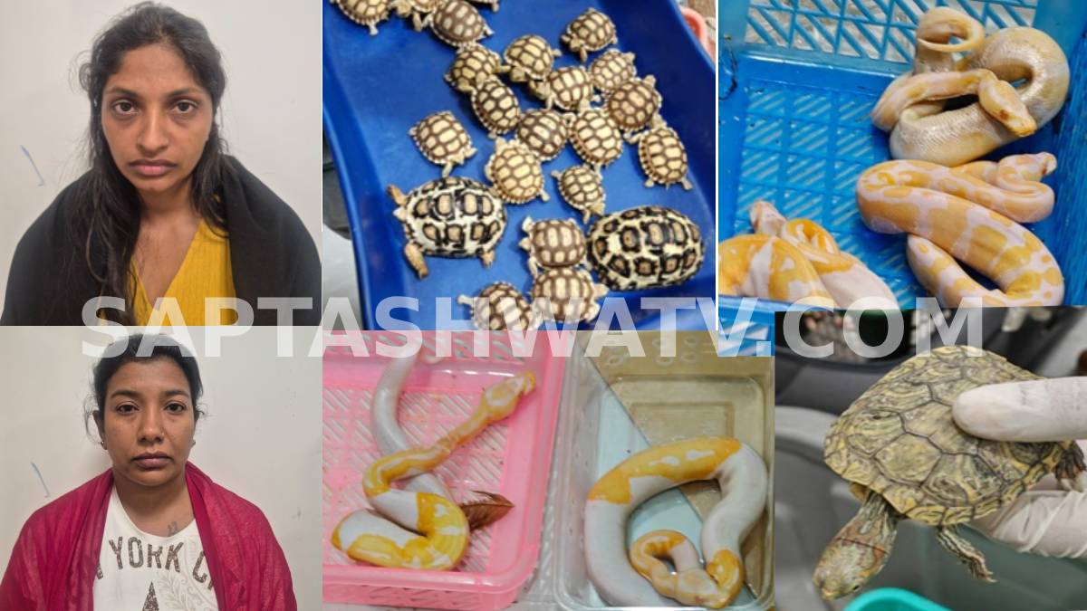 ಲಗೇಜ್ ಬ್ಯಾಗ್‌ನಲ್ಲಿ 'ಮಿನಿ ಜೂ' - ಥೈಲ್ಯಾಂಡ್‌ನಿಂದ ಪ್ರಾಣಿ ತಂದ ಲೇಡಿಸ್ ಏರ್ಪೋರ್ಟ್‌ನಲ್ಲಿ ಲಾಕ್!!