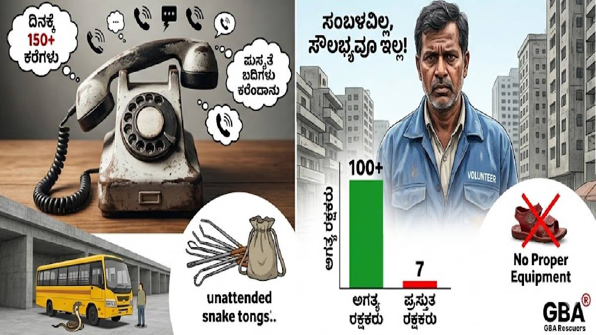 ಮೇ-ಜೂನ್ ತಿಂಗಳಲ್ಲಿ ಬೆಂಗಳೂರಿಗರಿಗೆ ದೊಡ್ಡ ಗಂಡಾಂತರ - ಸೈಕಲ್ ಗ್ಯಾಪ್‌ನಲ್ಲಿ ನುಗ್ಗೋ ನಾಗರಹಾವು!!