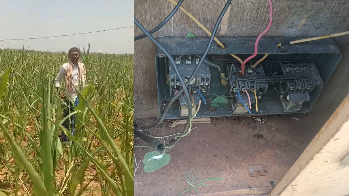 ರೈತರ ಹೊಟ್ಟೆ ಮೇಲೆ ಹೊಡೆದ ಕಳ್ಳರು - ಕಳ್ಳರನ್ನು ಹಿಡಿಯಲು ರೈತರಿಂದಲೇ ಬಿಗ್ ಸ್ಕೆಚ್, ಇಲ್ಲಿದೆ ನೋಡಿ!!