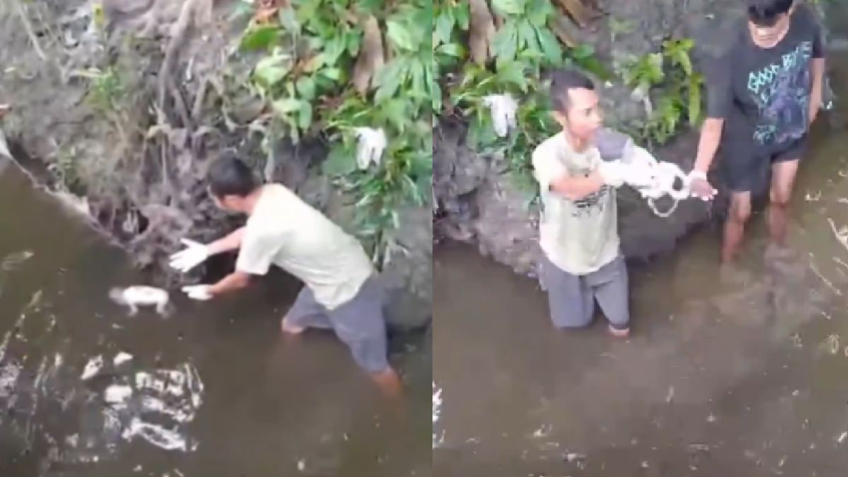 Heartless Act: Newborn Baby Abandoned in Indonesian Drain Sparks Outrage