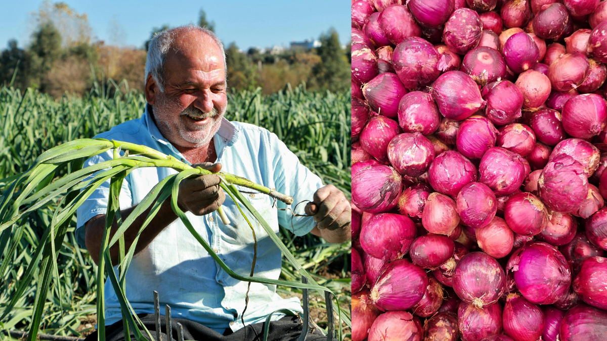 ಭಾರತದ ಈ ಸುಂದರ ತಾಣದಲ್ಲಿ ಈರುಳ್ಳಿ ಕಂಪ್ಲೀಟ್ ಬ್ಯಾನ್