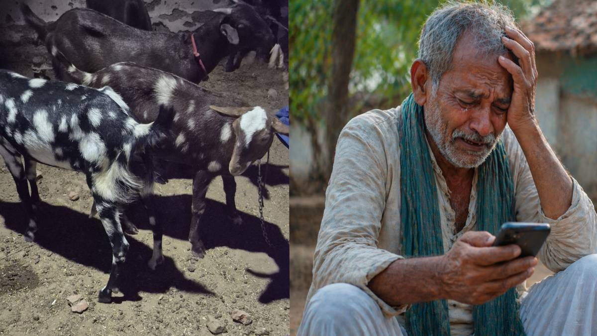 ಬ್ಯಾಂಕ್ ಅಕೌಂಟ್ ಖಾಲಿ - ಹಳ್ಳಿಯ ಪಾಪದ ವ್ಯಾಪಾರಿಗೆ ಸೈಬರ್ ವಂಚಕರ ಬಿಗ್ ಶಾಕ್!! ಅಸಲಿಗೆ ಮೋಸ ಹೋಗಿದ್ದು ಹೇಗೆ?