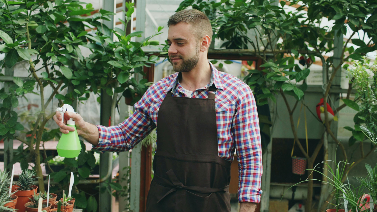 ಗಿಡಗಳಿಗೆ ನೀರು ಹಾಕಲು ಬೆಳಗಿನ ಜಾವವೇ ಯಾಕೆ ಬೆಸ್ಟ್? ತೋಟಗಾರಿಕೆ ತಜ್ಞರು ಹೇಳುವ ಅಸಲಿ ಕಾರಣ ಇಲ್ಲಿದೆ!!