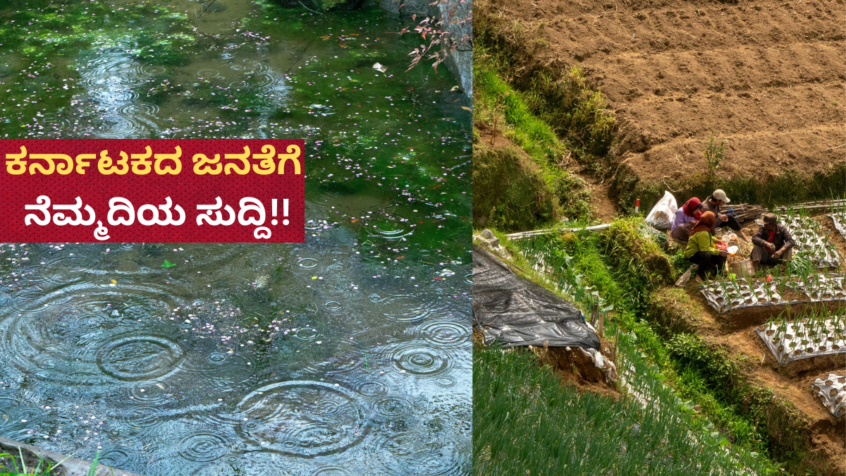 ಈ ಬಾರಿ ಮುಂಗಾರು ಮಳೆಗೆ ಅಡ್ಡವಾಗಲಿದೆಯೇ 'ಎಲ್ ನಿನೋ' -  ಹವಾಮಾನ ಇಲಾಖೆಯ ಹೊಸ ವರದಿ ಇಲ್ಲಿದೆ!!