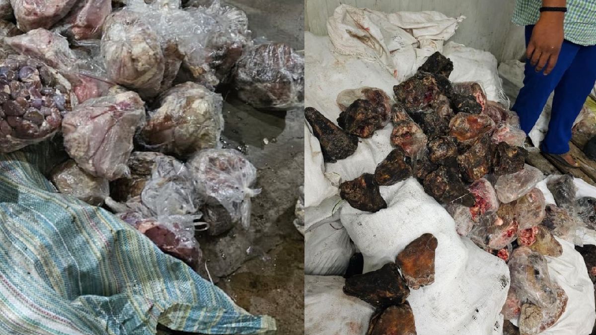 Hyderabad Raid Finds 14 Tons of Rotten Meat Meant for Hotels