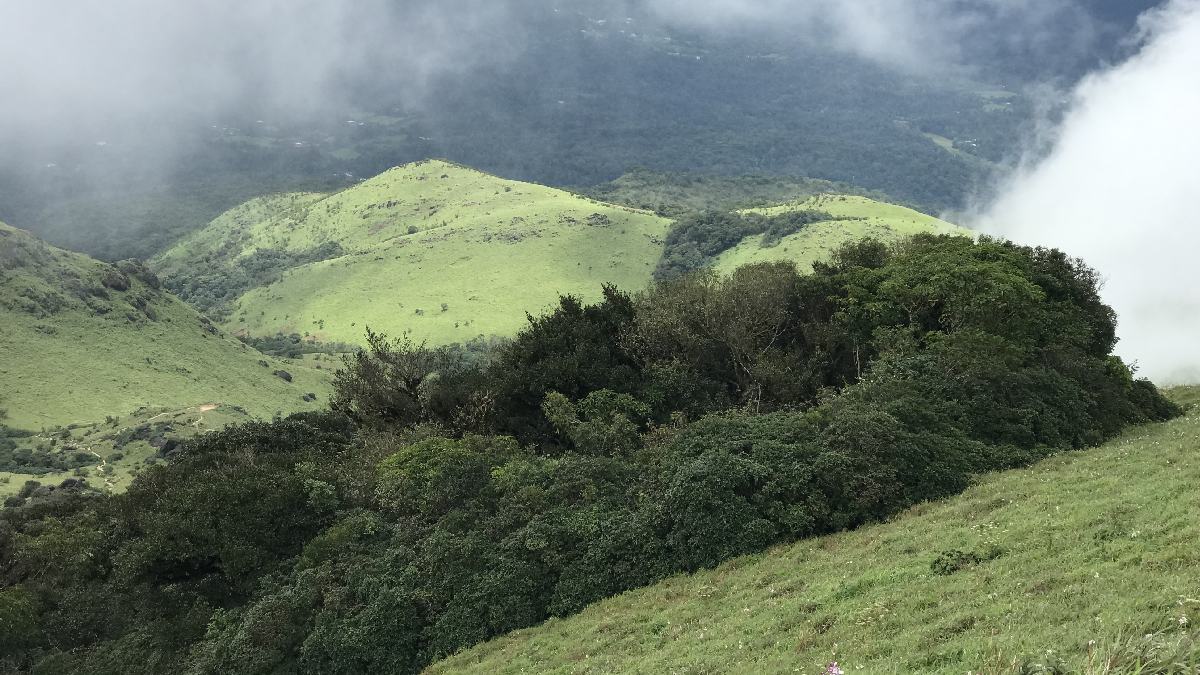 Kerala Trekker Goes Missing on Tadiandamol Hills; Massive Search Operation Underway in Kodagu
