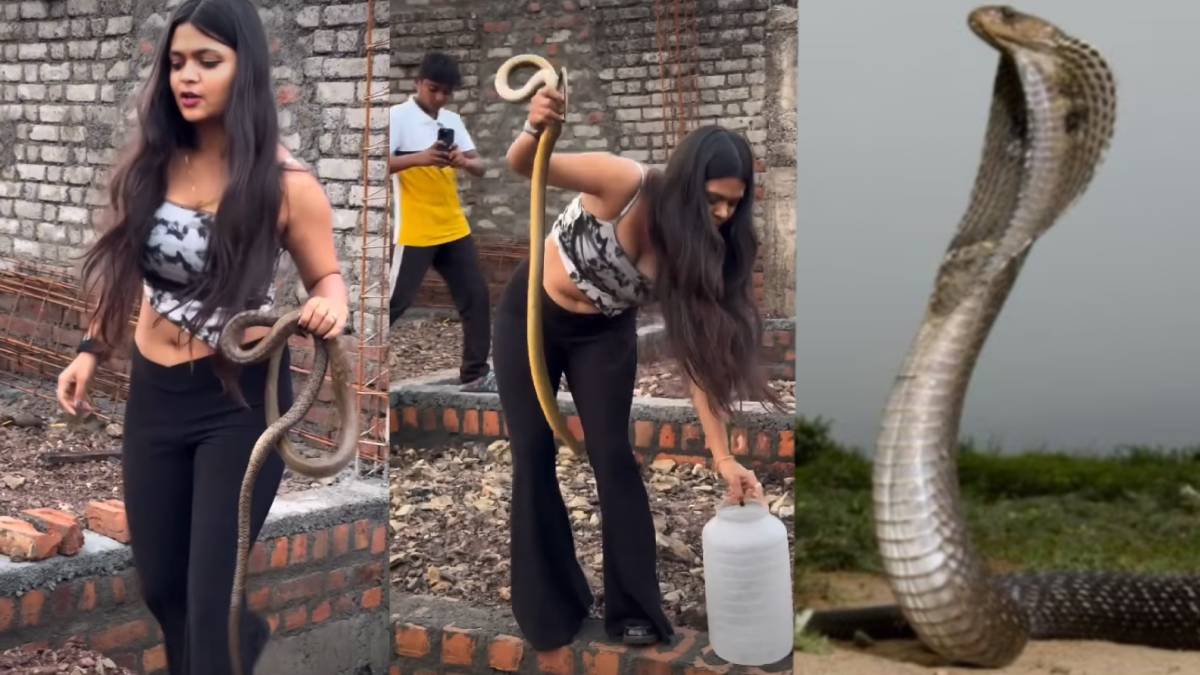 ಕ್ಯೂಟ್ ಆಗಿ ಬಂದು ಖಾಲಿ ಕೈಯಲ್ಲೇ ದೈತ್ಯ ಹಾವು ಹಿಡಿದ ಯುವತಿ - ವಿಡಿಯೋ ನೋಡಿ ನೆಟ್ಟಿಗರು ಫುಲ್ ಶಾಕ್!!