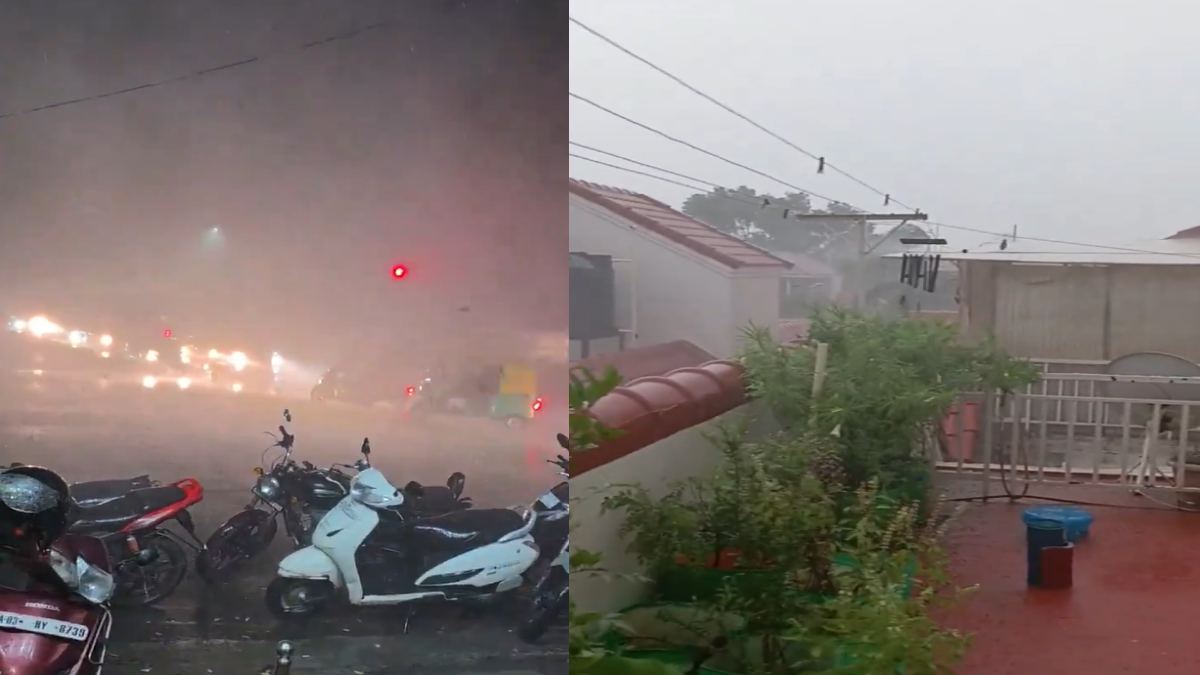 Heavy Rain Disrupts Bengaluru Metro Services; Tree Branch Falls On Purple Line Track
