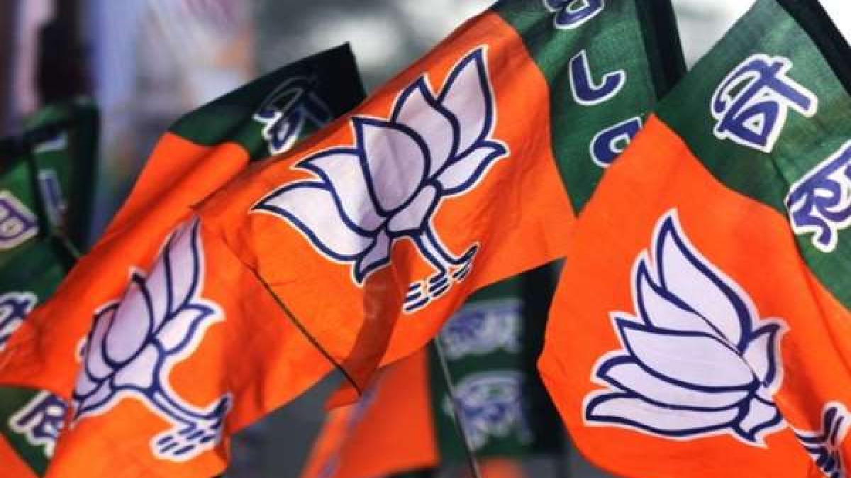 West Bengal Election Results 2026: BJP Crosses Majority Mark in Early Trends, Mamata Banerjee Faces Tough Fight