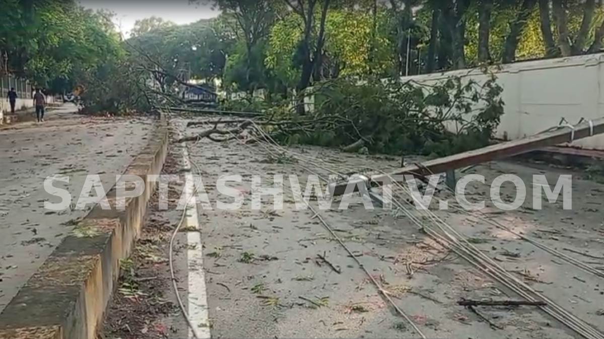 Heavy Overnight Rain Wreaks Havoc in Chikkamagaluru, Trees Uprooted and Power Supply Disrupted