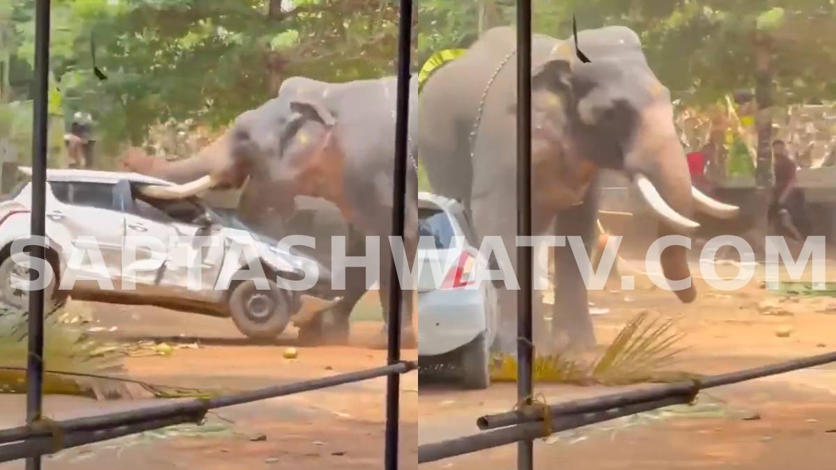 Kerala: Truck Driver Dies After Elephant Goes Berserk Near Kidangoor Mahavishnu Temple
