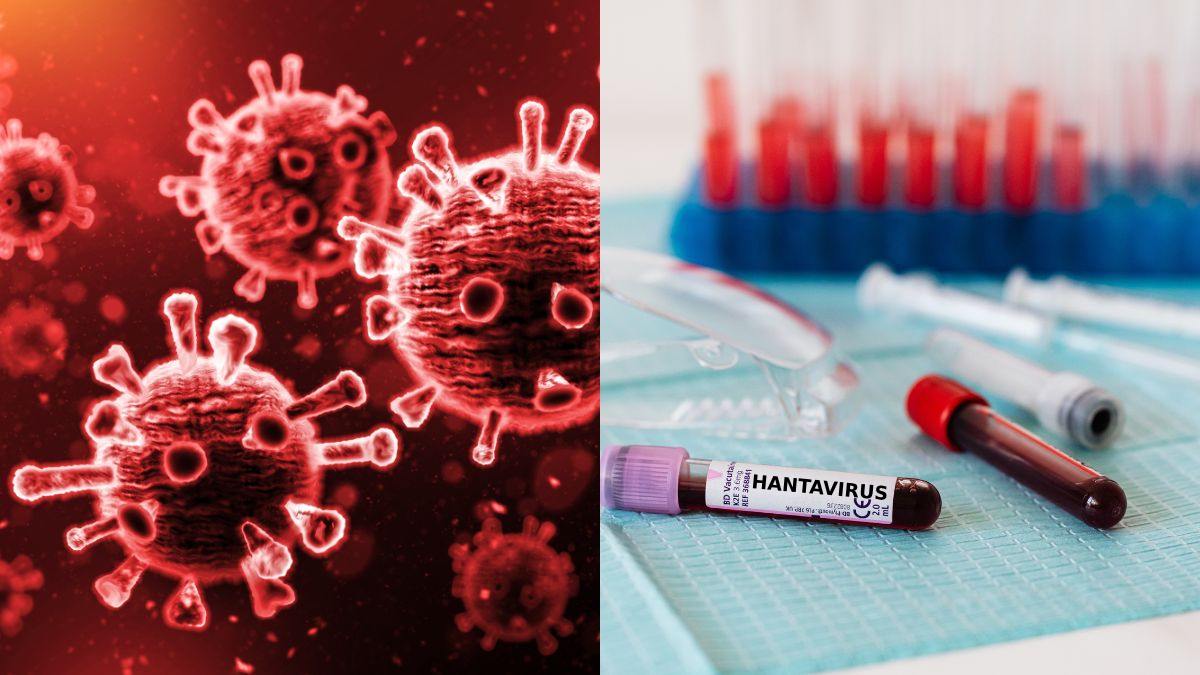 Two Indians Aboard Hantavirus-Hit Cruise Ship