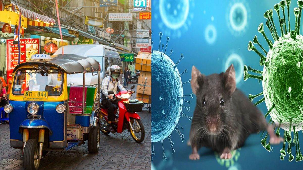 Thailand Declares Hantavirus a Dangerous Communicable Disease
