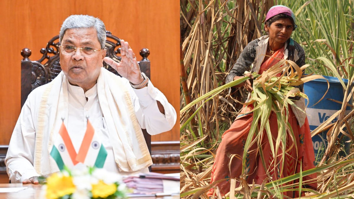 ಹಠ ಹಿಡಿದಿದ್ದ ಸಕ್ಕರೆ ಕಾರ್ಖಾನೆಗಳಿಗೆ ಬಿತ್ತು ಬ್ರೇಕ್ | Photo Credit: CANVA