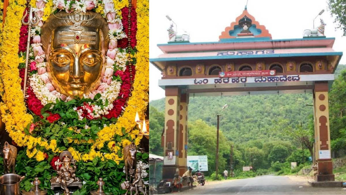 ಮಾದಪ್ಪನ ಸನ್ನಿಧಿಗೆ ಮುಗಿಬಿದ್ದ ಲಕ್ಷಾಂತರ ಭಕ್ತ ಸಾಗರ!