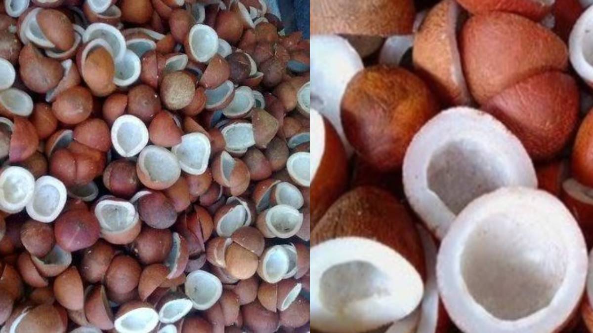 ಕೊಬ್ಬರಿ ಬೆಲೆಯಲ್ಲಿ ದಿಢೀರ್ ಕುಸಿತ - ಕಲ್ಪತರು ನಾಡಿನ ರೈತರಲ್ಲಿ ಶುರುವಾಯ್ತು ಆತಂಕ; ಇಂದಿನ ಮಾರುಕಟ್ಟೆ ದರ ಎಷ್ಟು ಗೊತ್ತಾ?