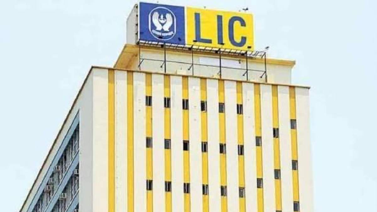 LIC Q4 Results 2026: Profit Rises 23%, Rs 10 Dividend Announced