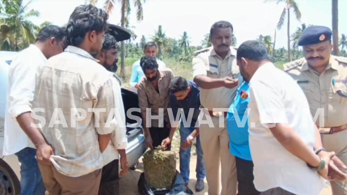 Mandya Police Bust Odisha-Linked Ganja Racket, 20 Kg Drugs Seized