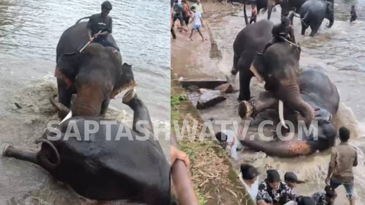 ಪ್ರವಾಸಿಗರ ಕಣ್ಣೆದುರೇ ಘಟಿಸಿತು ಘೋರ ವಿಧಿಲಿಖಿತ!