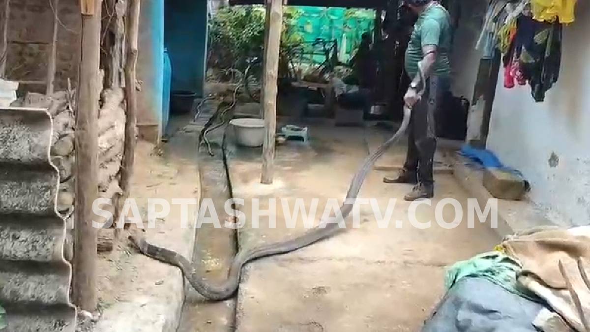 ಮಲೆನಾಡಿನಲ್ಲಿ ಸಾಕ್ಷಾತ್ ನಾಗರಾಜನ ರೌದ್ರಾವತಾರ