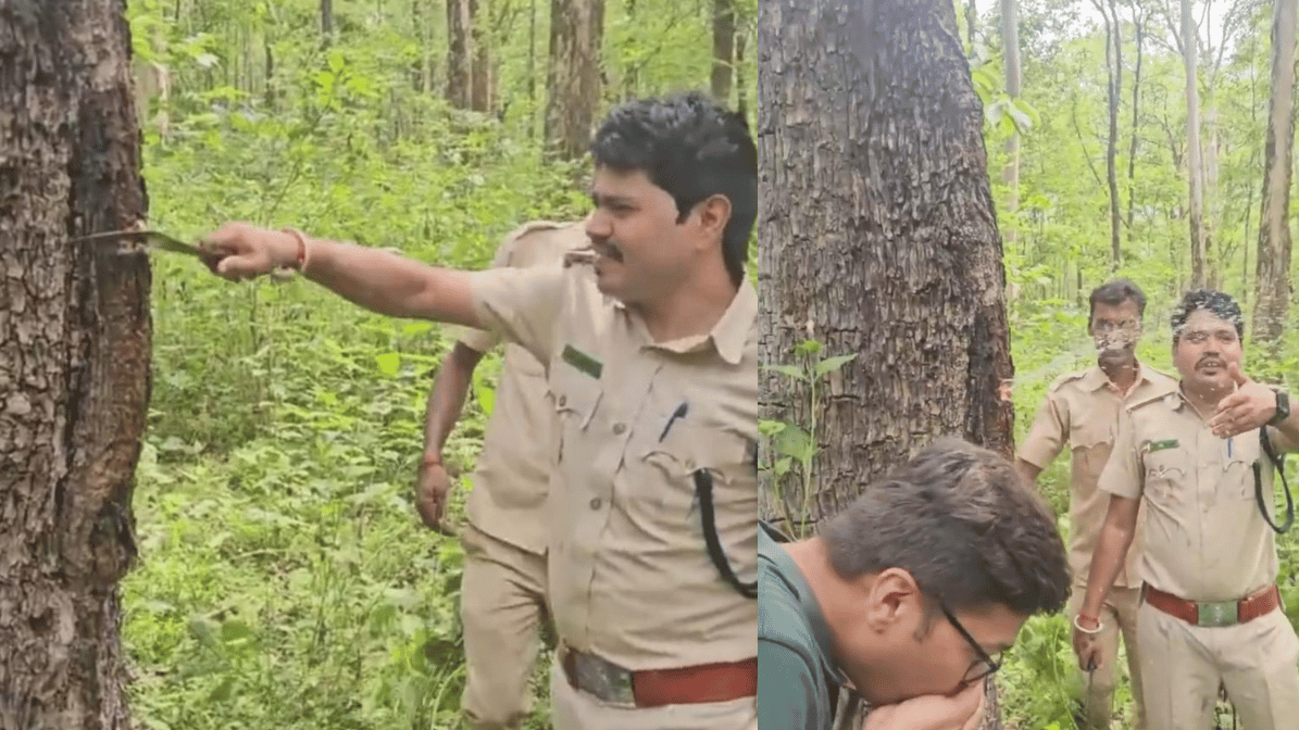 ಕರ್ನಾಟಕ ಕಾಡಿನಲ್ಲಿ ಕಂಡುಬಂದ ಪ್ರಕೃತಿಯ ವಿಸ್ಮಯ ಜಗತ್ತಿನ ಗಮನ ಸೆಳೆದಿದೆ: ಮರವೇ ನೀರಿನ ಟ್ಯಾಂಕ್! ಬುಡಕಟ್ಟು ಜನರ ಜೀವನಾಡಿಯಾದ ಮತ್ತಿ ಮರ ಈಗ ವೈರಲ್ ಸ್ಟಾರ್!