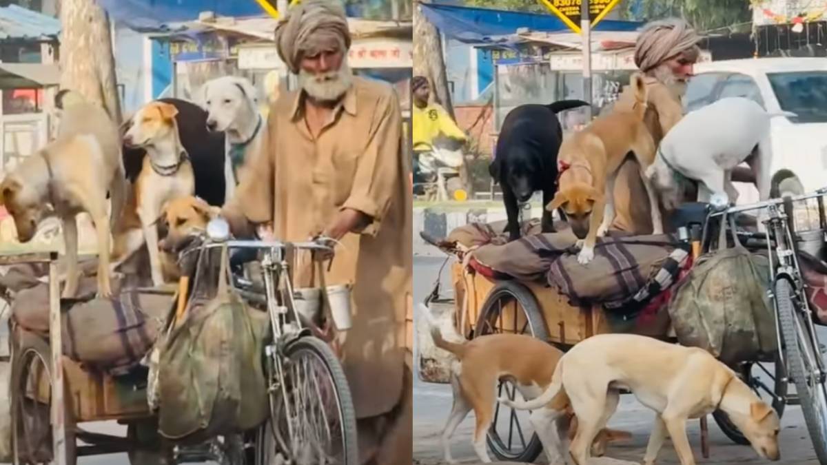 ಕೋಟಿ ರೂಪಾಯಿಗಿಂತಲೂ ಮಿಗಿಲಾದ ವೃದ್ಧನ 'ಪ್ರೀತಿಯ ಸಾಮ್ರಾಜ್ಯ' - ನಾಯಿಗಳ ಕೂರಿಸಿಕೊಂಡಿರುವ ವಿಡಿಯೋ ವೈರಲ್!!