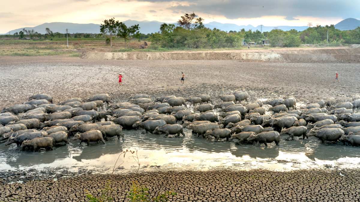 Uneven Monsoon Raises Alarm: Satellite Data Flags Dry Spells and El Niño Risk