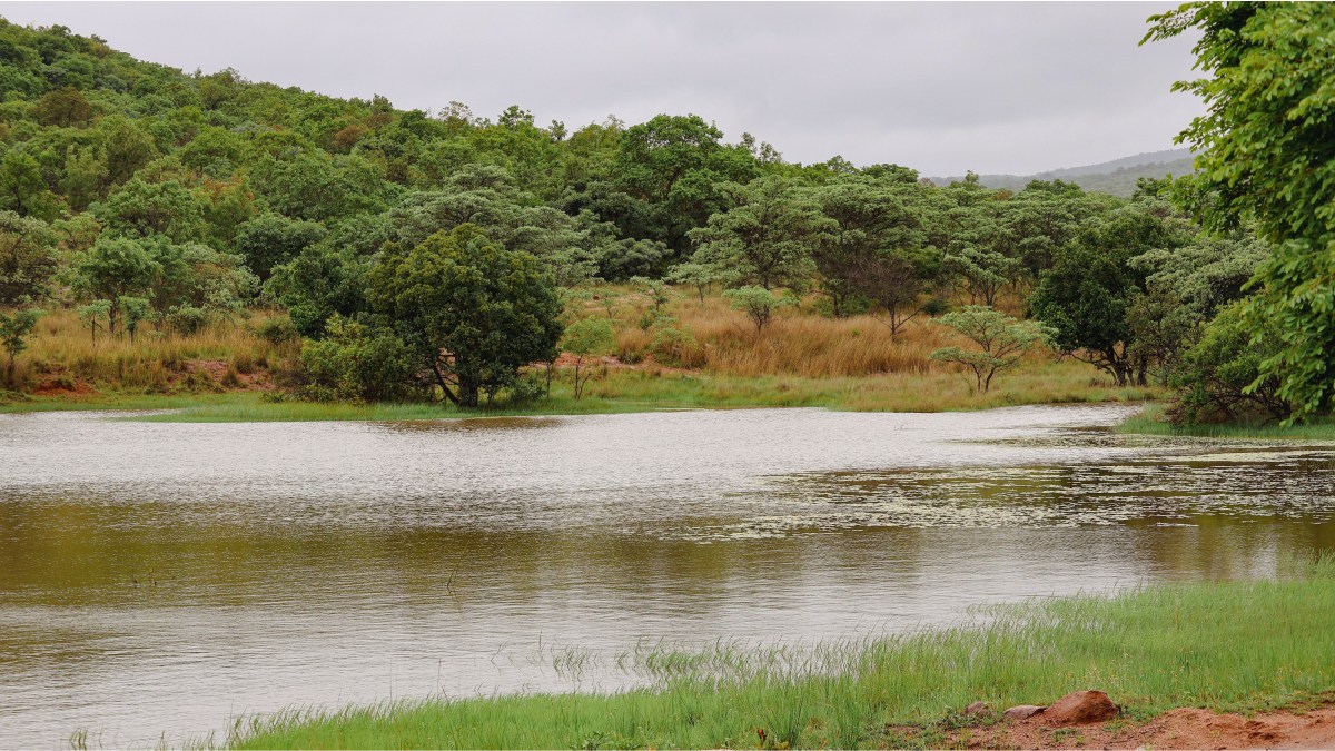 Bengaluru Lake Crisis | Photo Credit: pexels.com