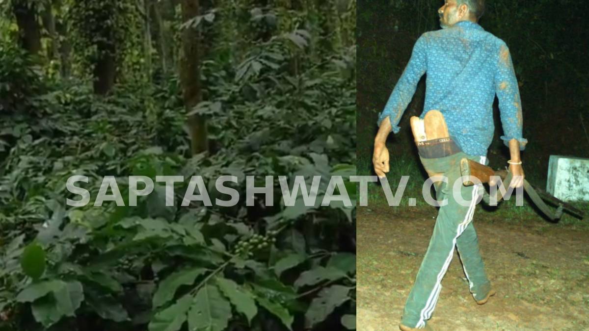 ಕಾಫಿ ನಾಡಿನಲ್ಲಿ ಭಾರಿ ಸಿನೆಮಾ ಶೈಲಿ ಕಾರ್ಯಾಚರಣೆ - ಸಚಿವ ಕೆ.ಜೆ. ಜಾರ್ಜ್ ಎಸ್ಟೇಟ್‌ಗೆ ನುಗ್ಗಿದ್ದ ಬಂದೂಕುಧಾರಿ ಬೇಟೆಗಾರರ ಬಿಗಿ ಬಂಧನ!!