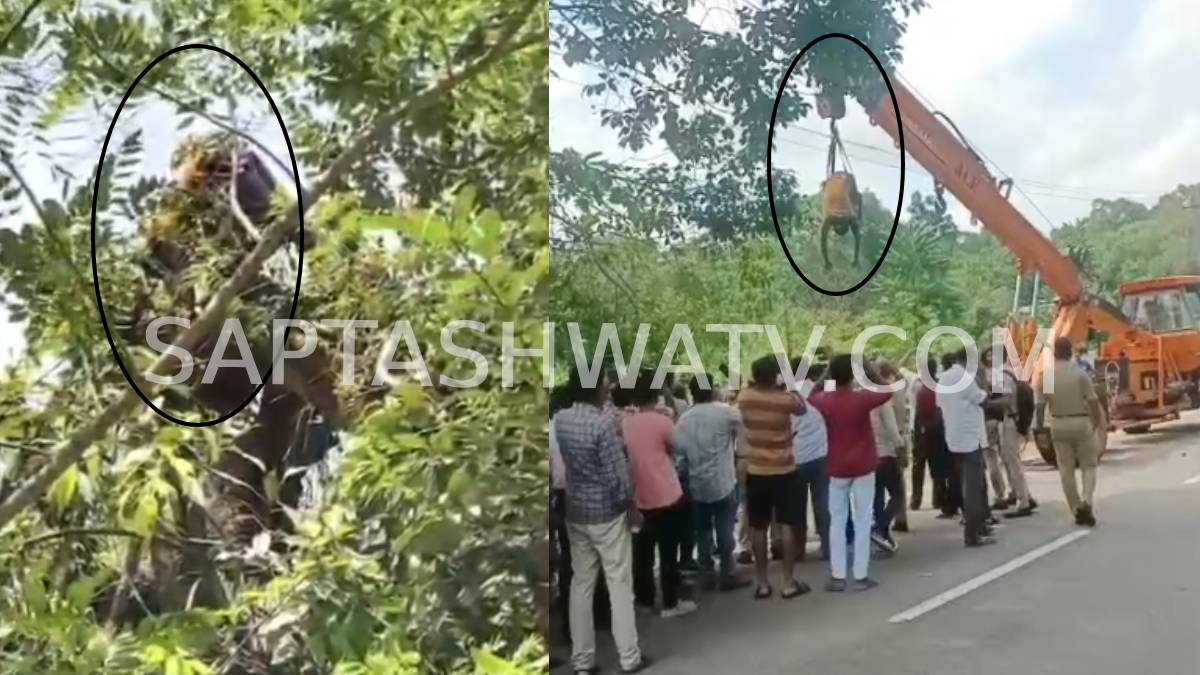 ಮಲೆನಾಡಿನಲ್ಲಿ ಮದುವೆಯ ಸಂಭ್ರಮ ಮಾಸುವ ಮುನ್ನವೇ ಘೋರ ದುರಂತ - ಪತ್ರೊಡೆ ಎಲೆ ಕೀಳಲು ಹೋಗಿ ವಿದ್ಯುತ್‌ಗೆ ಬಲಿಯಾದ ನವವಿವಾಹಿತ!!