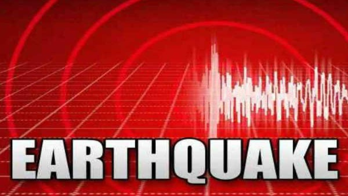 4.8 Magnitude Earthquake Hits Himachal Pradesh, Tremors Felt in Multiple Districts
