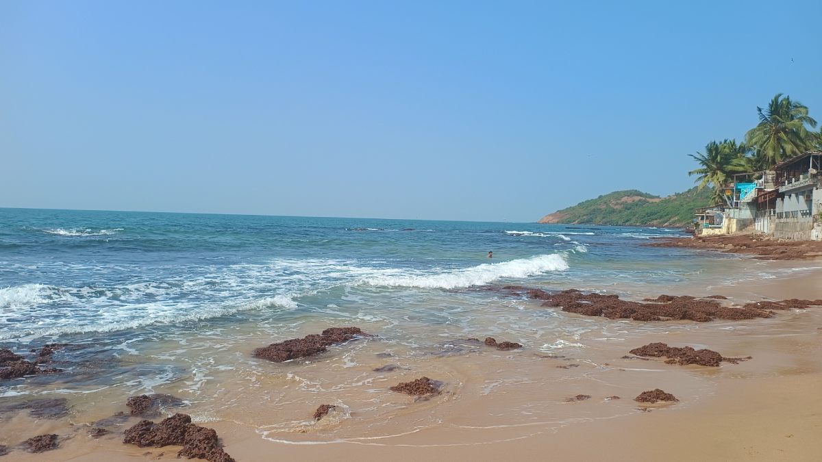 Goa Tragedy: Karnataka Tourist Swept Away by Giant Wave at Baga Beach Despite Monsoon Warnings