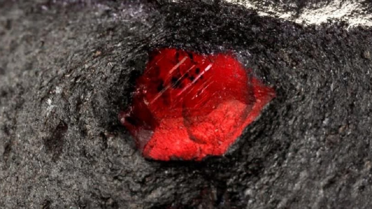First-Ever Garnet Found in Martian Meteorite Could Rewrite Mars’ Geological History