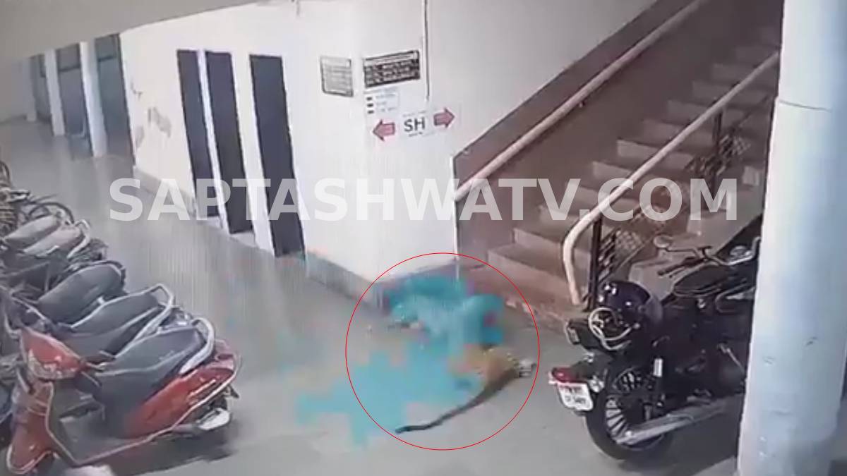 ಐಐಟಿ ಬಾಂಬೆ ಕ್ಯಾಂಪಸ್ ಒಳಗೆ ನುಗ್ಗಿದ ಯಮರೂಪಿ ಚಿರತೆ - ಮಧ್ಯರಾತ್ರಿ ಹಾಸ್ಟೆಲ್ ಮುಂಭಾಗ ನಾಯಿಯ ಮೇಲೆ ಭೀಕರ ದಾಳಿ!!