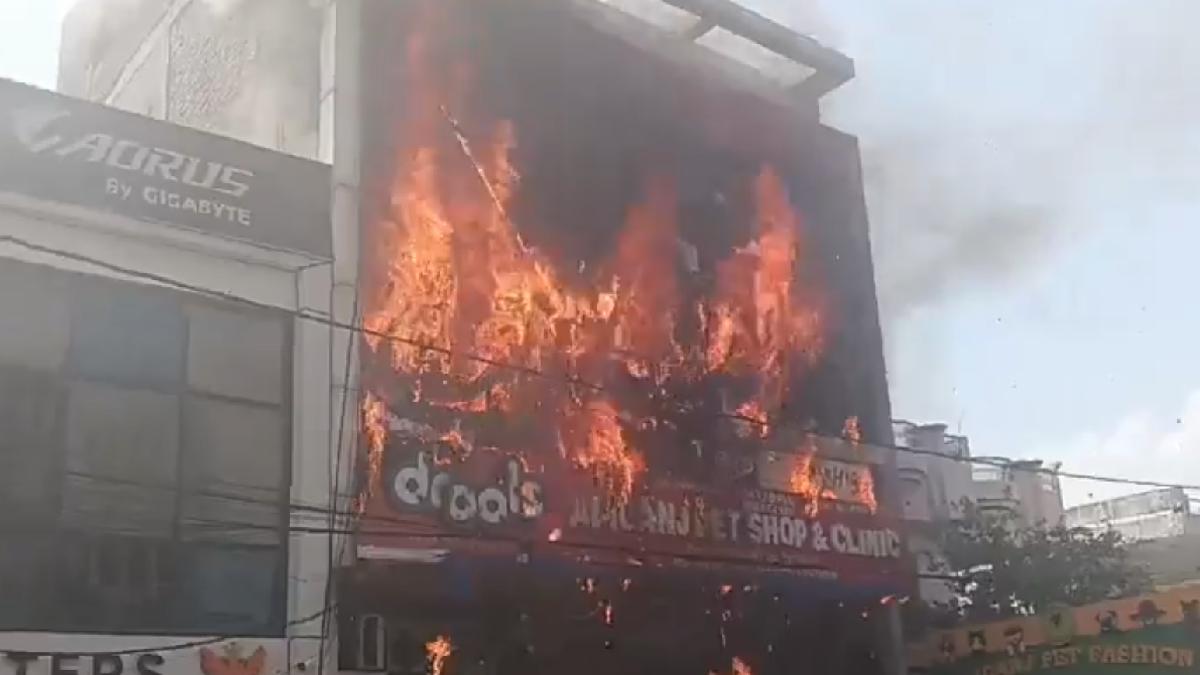 Lucknow Coaching Centre Fire Tragedy: 11 Dead as Students Jump From Building to Escape Massive Blaze