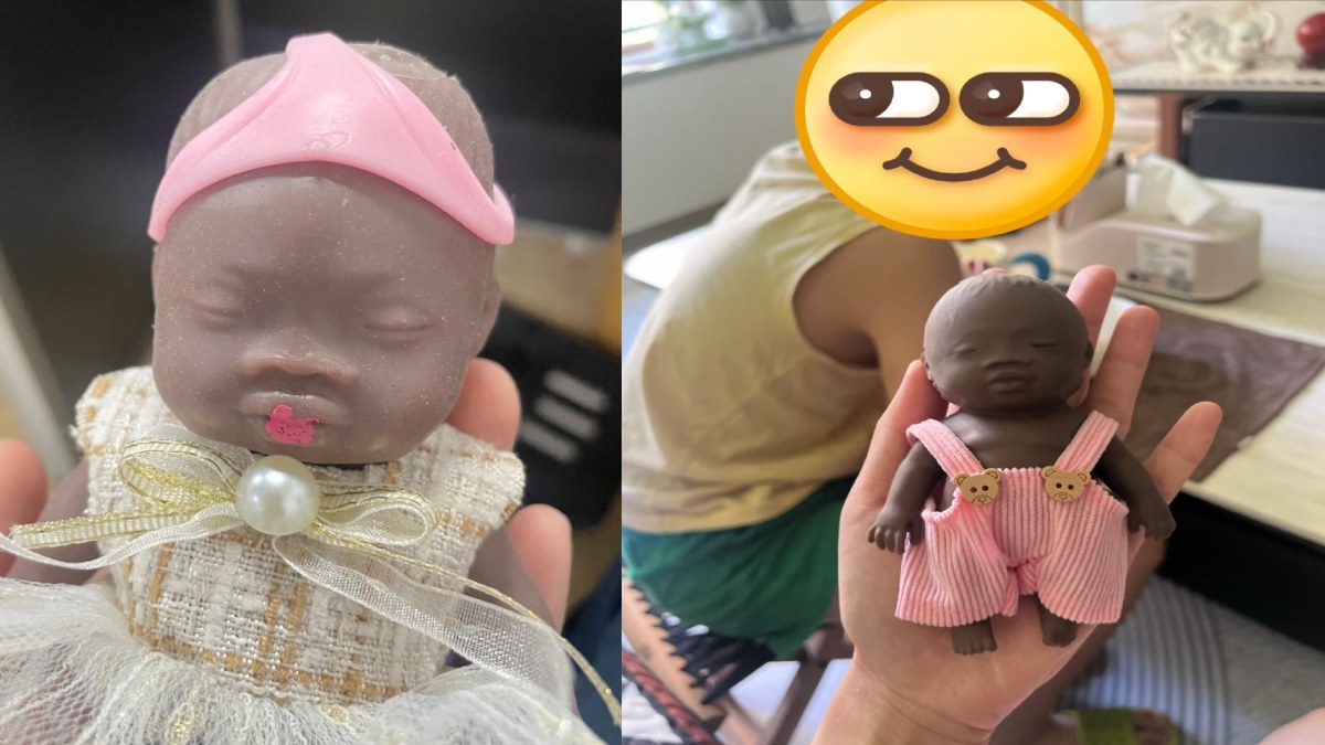 ‘Natasha’ Doll Trend Sparks Global Outrage as Viral Videos Show Toy Being Violently Abused