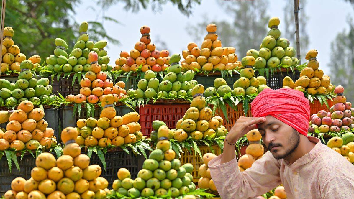 ಮಾವು ಬೆಳೆಗಾರರಿಗೆ ನೆರೆಯ ದೇಶ ಕೊಟ್ಟ ಬಿಗ್ ಶಾಕ್ - ಭಾರತದ ಮಾವಿನ ಹಣ್ಣುಗಳ ಆಮದಿನ ಮೇಲೆ ನೇಪಾಳ ದಿಢೀರ್ ಬ್ಯಾನ್!!