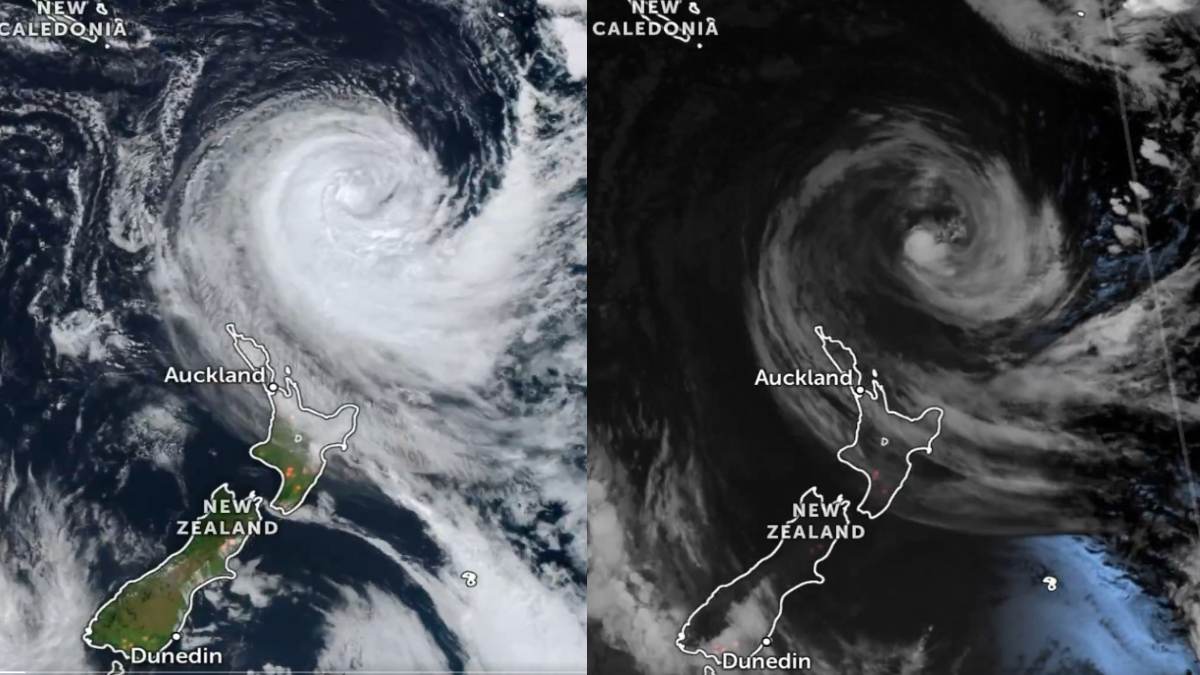 New Zealand Emergency: 11-Metre Waves Batter Wellington Coast, Hundreds Evacuated