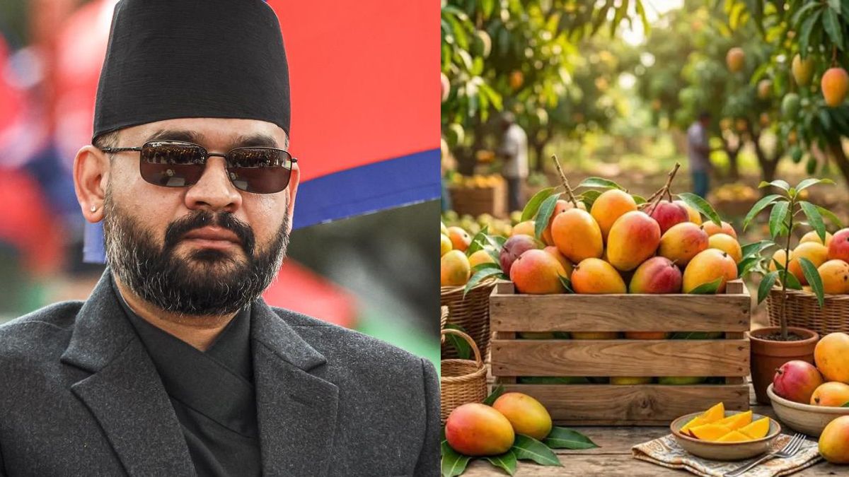 Nepal Confirms No Ban on Indian Mango Imports Despite Rumors