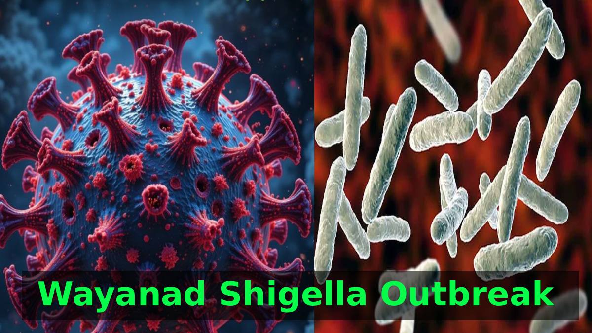 Wayanad Shigella Outbreak: Two Students Test Positive as Hundreds Fall Sick