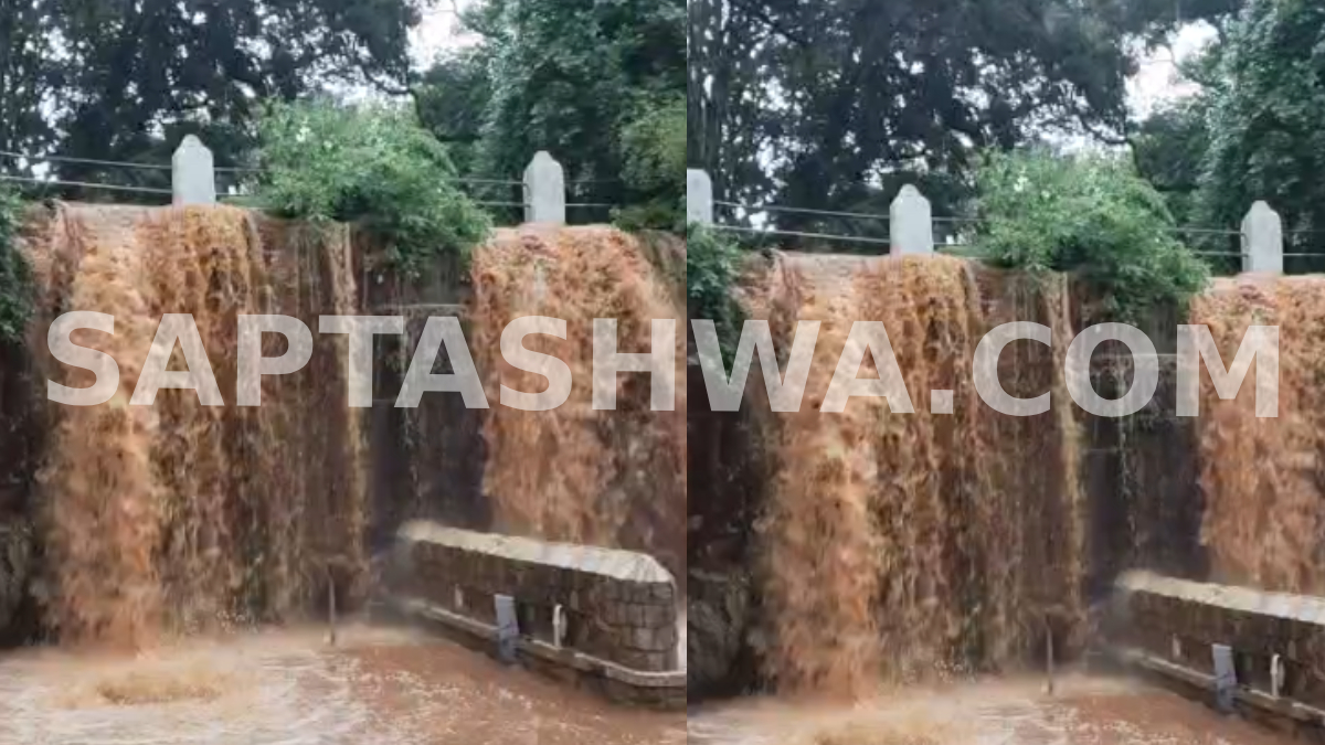 ಸೋಗಲ್‌ನ ಐತಿಹಾಸಿಕ ಹಿನ್ನೆಲೆ