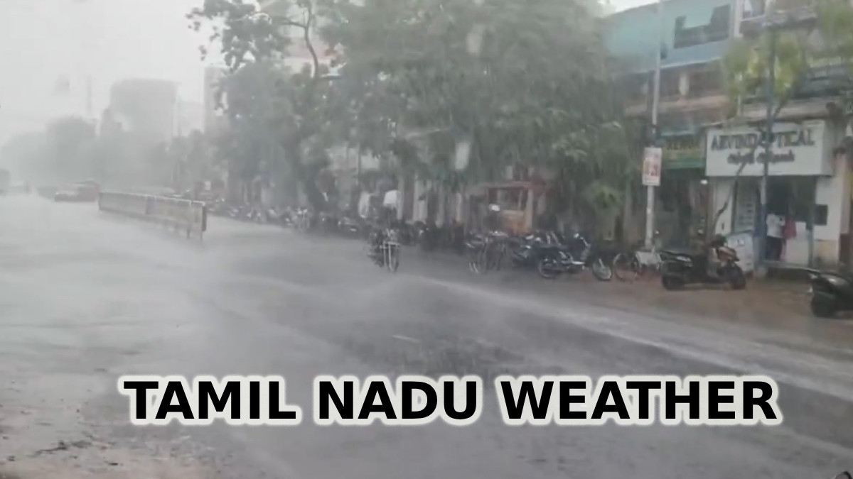 Tamil Nadu Weather: Heavy Rain Warning for 5 Districts, Thunderstorms Likely