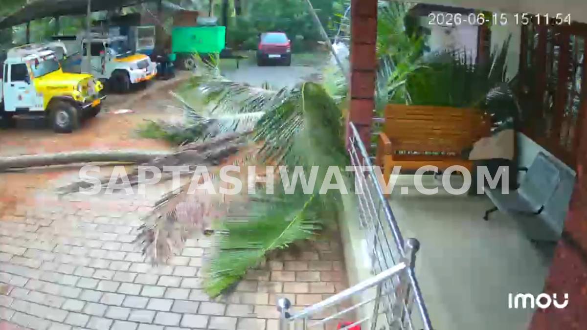 ಬೃಹತ್ ಮರ ಪತನ, ಕೂದಲೆಳೆಯ ಅಂತರದಲ್ಲಿ ಜೀವದಾನ!!