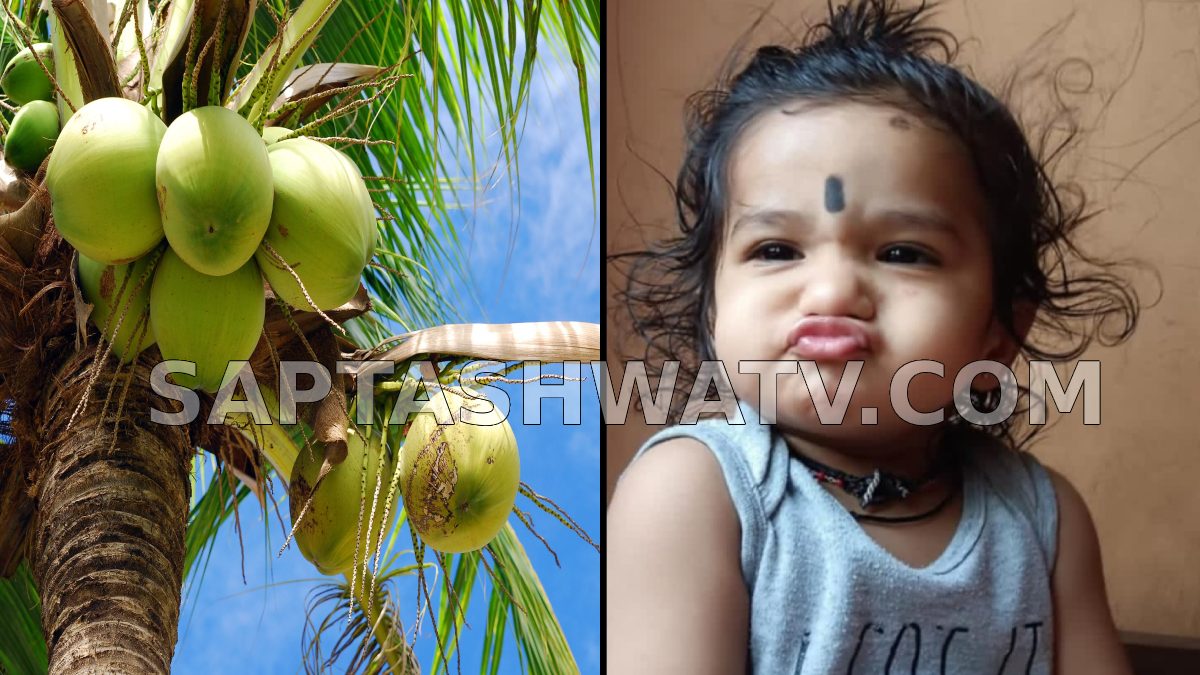 Udupi Tragedy: 18-Month-Old Child Dies After Coconut Falls on Head