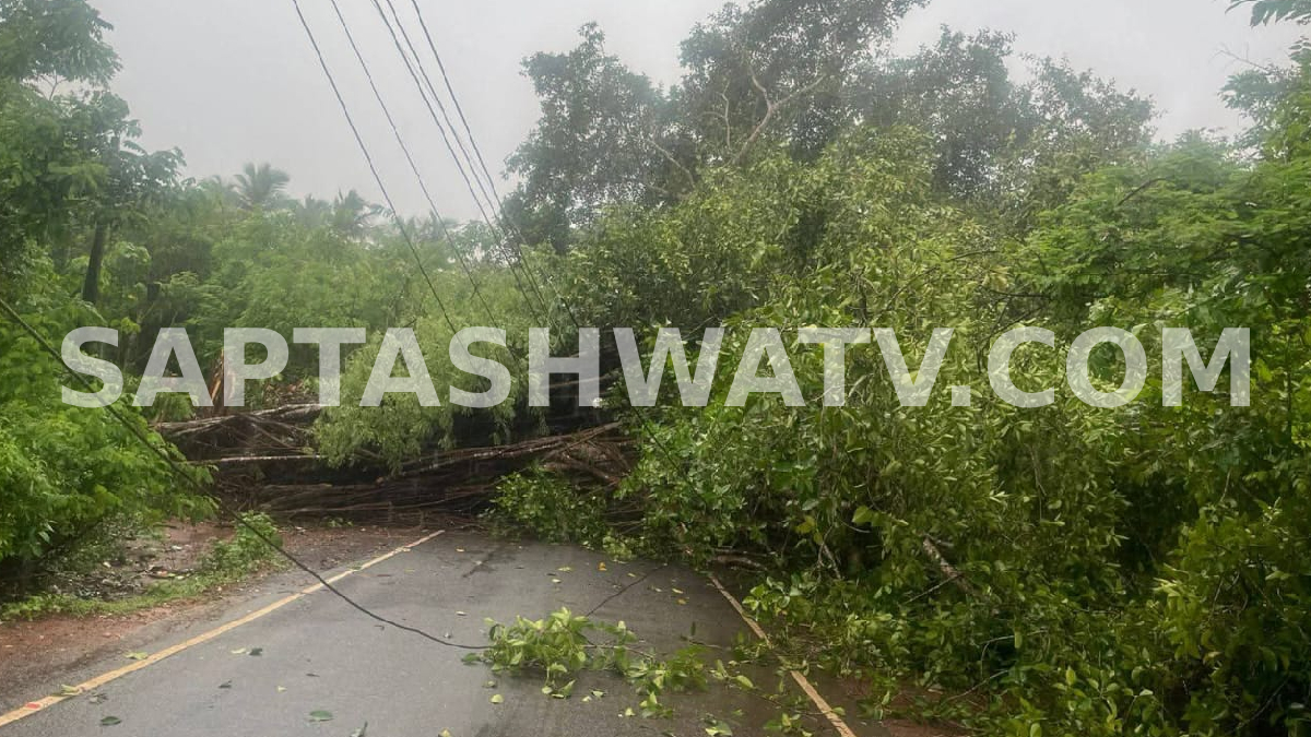 ಕರಾವಳಿ ಜಿಲ್ಲೆಯಲ್ಲಿ ವರುಣನ ಬಿರುಗಾಳಿ ಮಳೆ: ರಸ್ತೆಗಳಿಗೆ ಮುರಿದು ಬೀಳುತ್ತಿರುವ ಮರಗಳು, ಸಾರ್ವಜನಿಕರು ಎಚ್ಚರದಿಂದಿರಲು ಮನವಿ!!