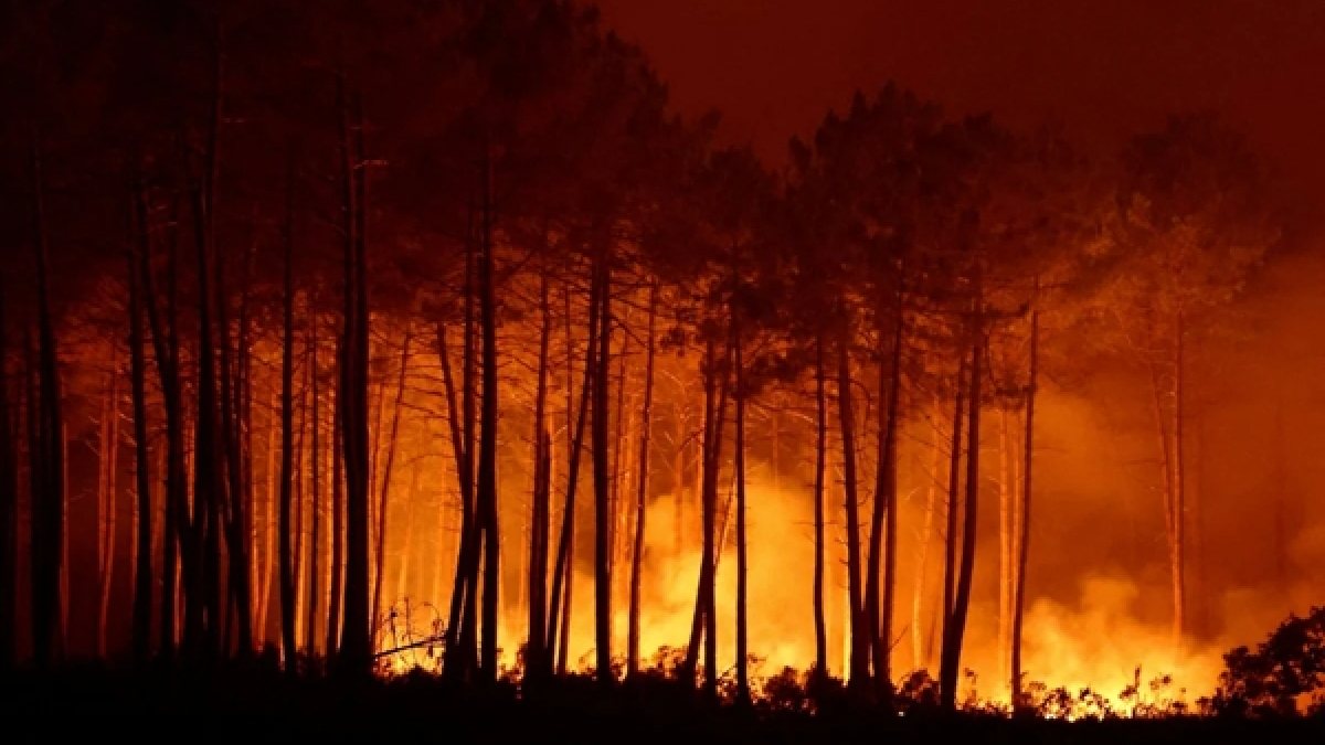 French firefighters battle wildfire during summer heatwave | Photo Credit: https://newsonair.gov.in