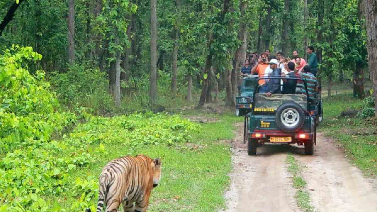Forest Department Hikes Wildlife Safari Charges from September 1 | Photo Credit: AI