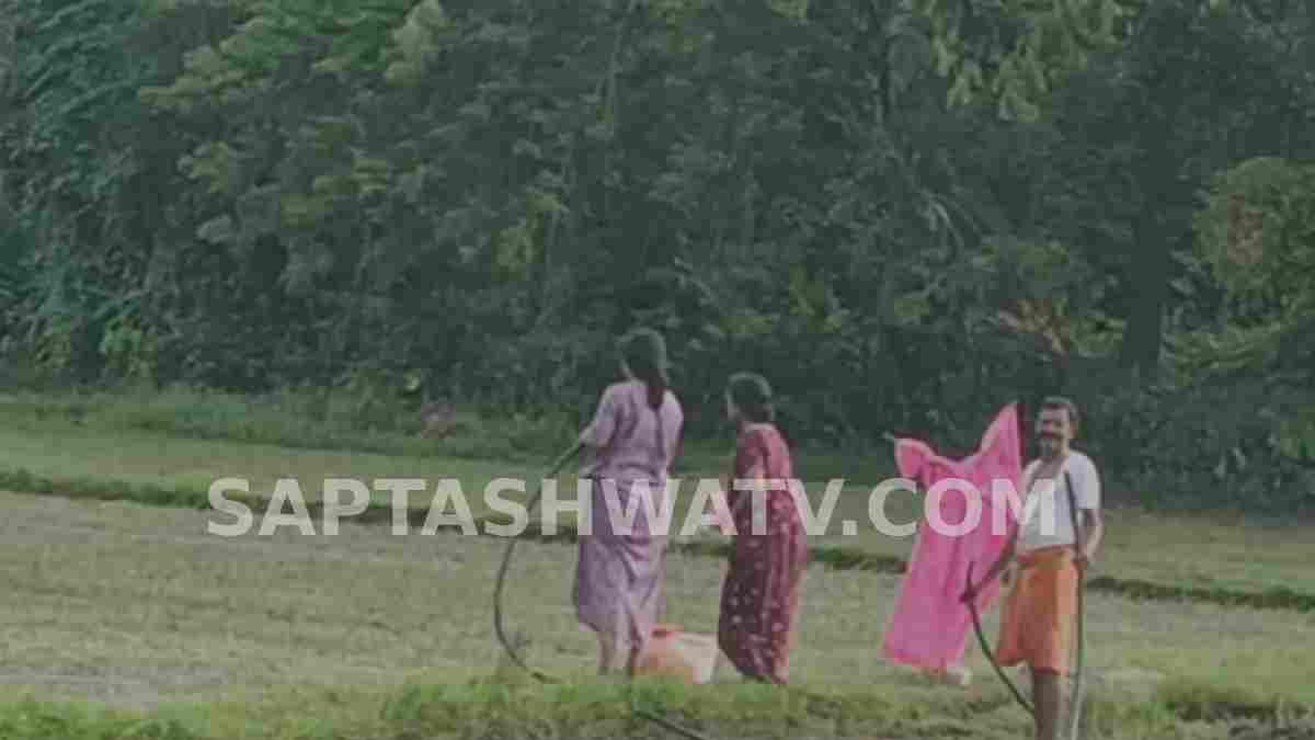 ಮಳೆ ಕೈಕೊಟ್ಟಿದ್ದಕ್ಕೆ ಕಣ್ಣೀರು - ಅಂಕೋಲಾದಲ್ಲಿ ಬಕೆಟ್‌, ಪೈಪ್‌ಲೈನ್‌ ಮೂಲಕ ಗದ್ದೆಗೆ ನೀರುಣಿಸುತ್ತಿರುವ ರೈತರು!!