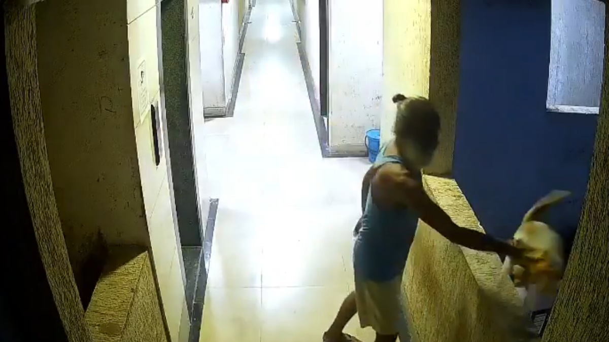 Ambernath CCTV Video Sparks Outrage After Man Allegedly Throws Cat From 12th Floor of Residential Building