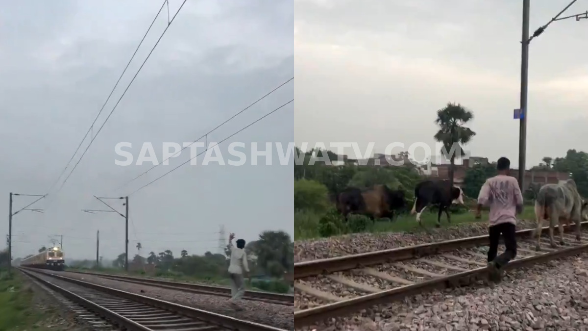 Andhra Pradesh Villagers Save Cattle, Avert Major Train Accident with Timely Action